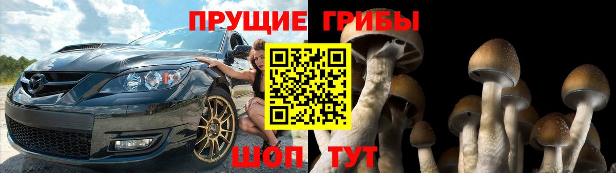 Галлюциногенные грибы MAGIC MUSHROOMS Крымск